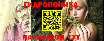 СК Кандалакша