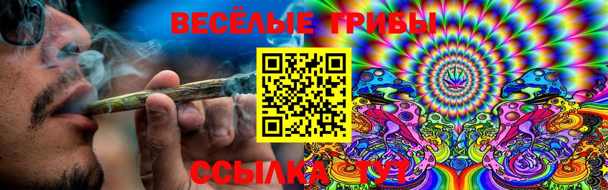 Псилоцибиновые грибы GOLDEN TEACHER  Вход с VPN  Галлюциногенные грибы MAGIC MUSHROOMS  Комсомольск-на-Амуре 